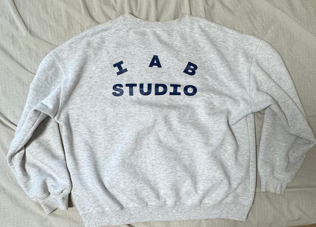 IAB  Sweatshirt Light gray (xl | 후루츠패밀리