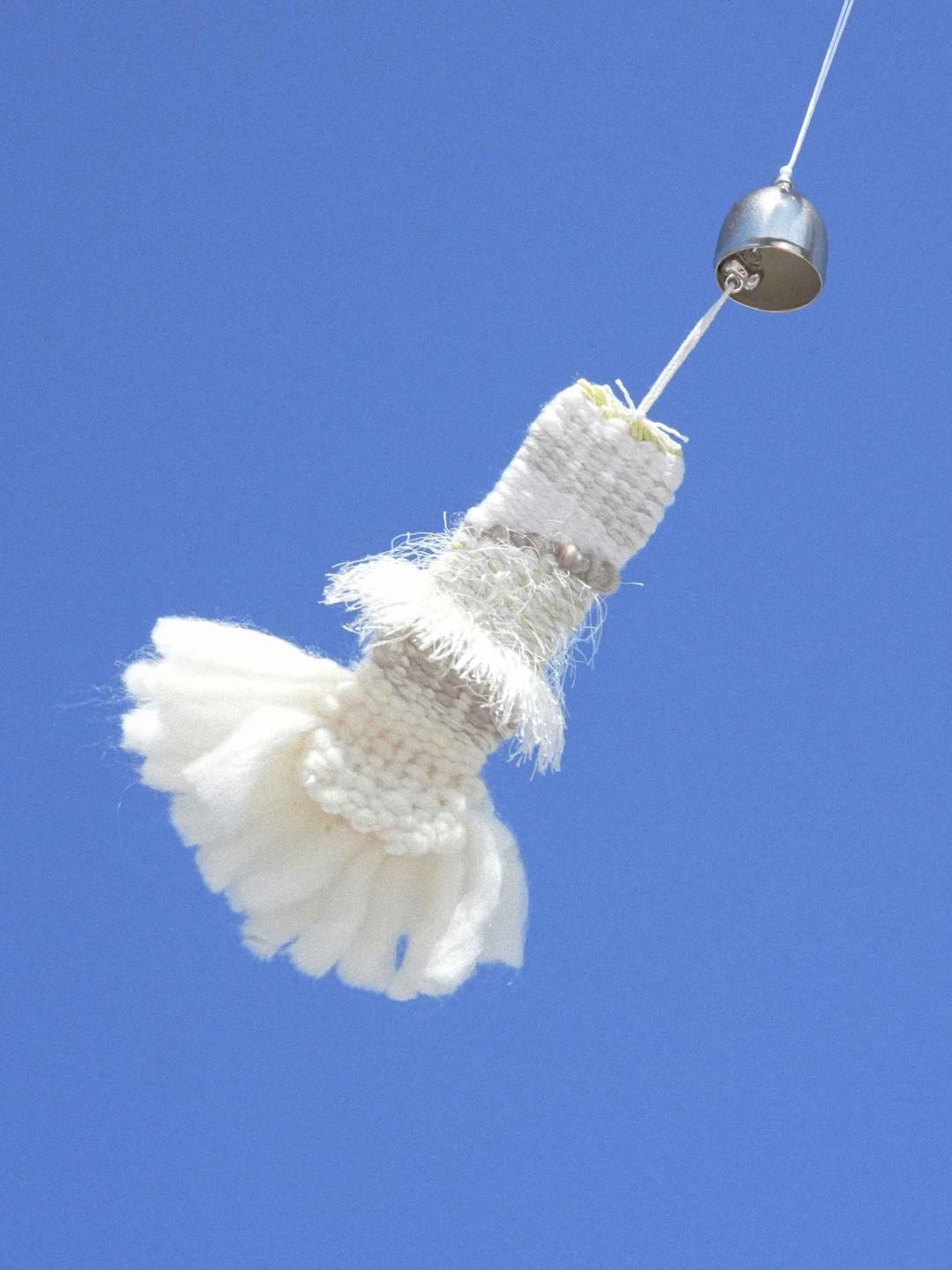 winter bud doorbell