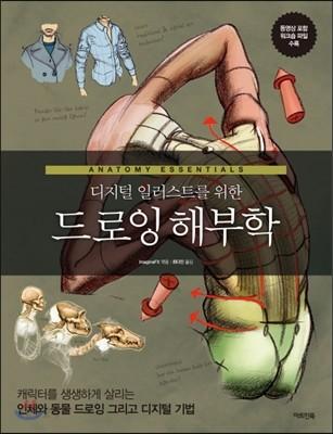 드로잉 해부학