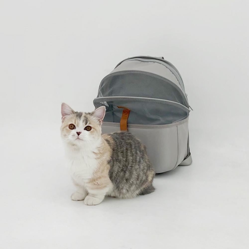 펫케어 스위트백 폴딩 돔형 백팩 고양이 강아지 이동장 이동가방