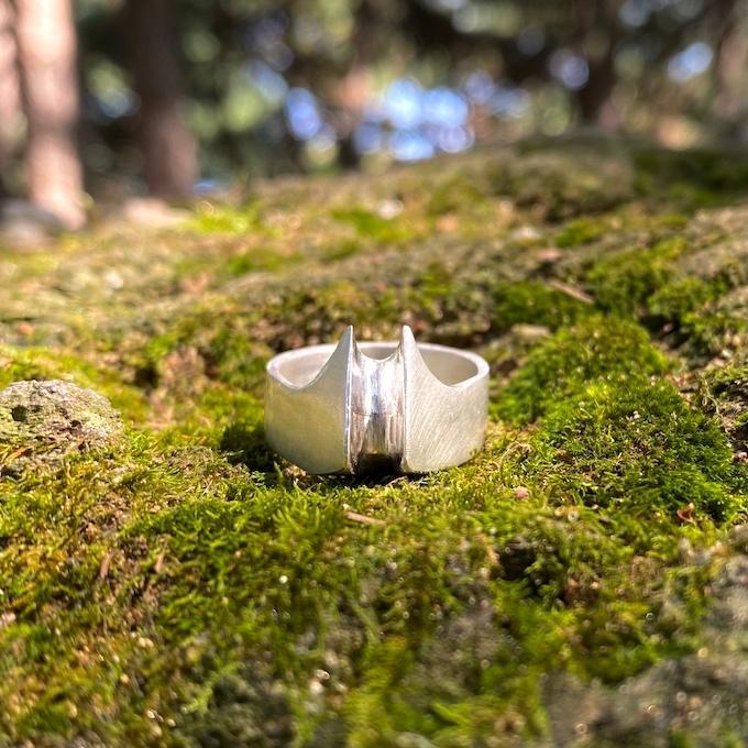 two pointed bild ring