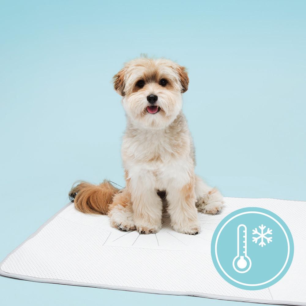 스니프 칠링칠링 듀라론 애견 강아지쿨매트 여름용 반려동물 쿨방석