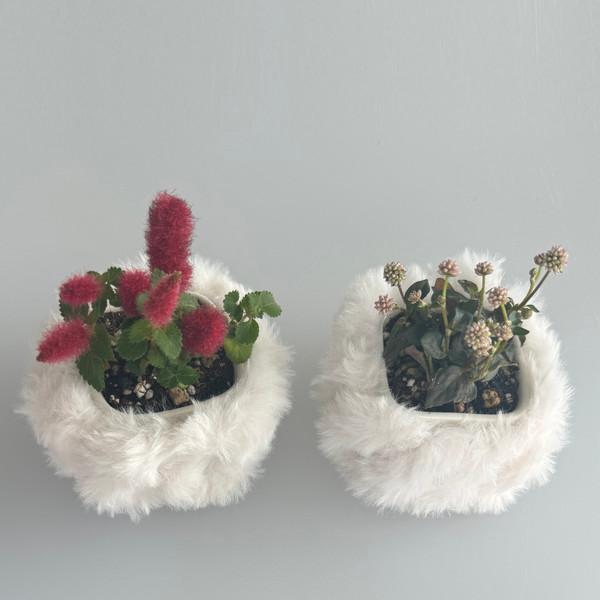 004 - 1 멍구의 정원 (야생화)