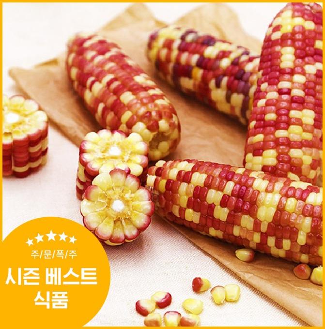 ★무료배송★ 급속냉동 삶은 찰옥수수 30/60개 특가!