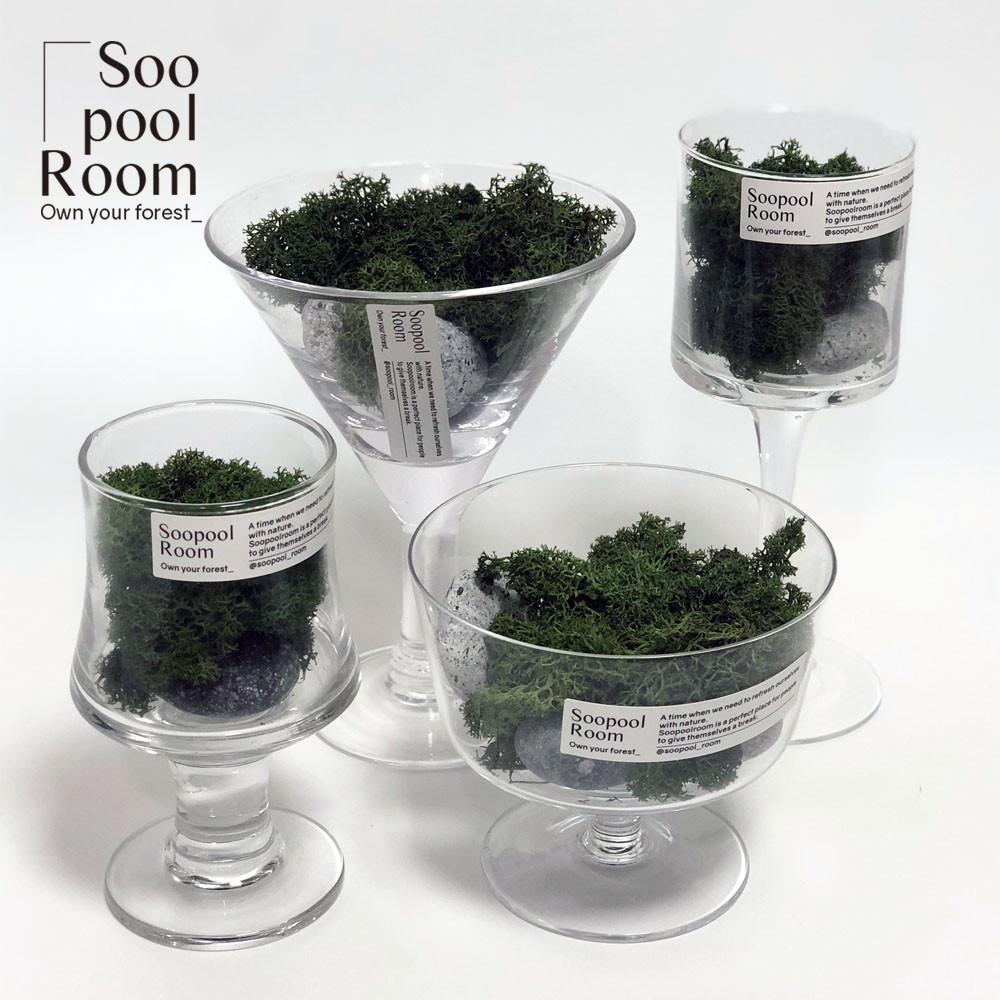 스칸디아모스 집 실내에서 잘자라는 그늘에서 이끼 키우기 쉬운 반려식물 이끼유리화분 수풀룸