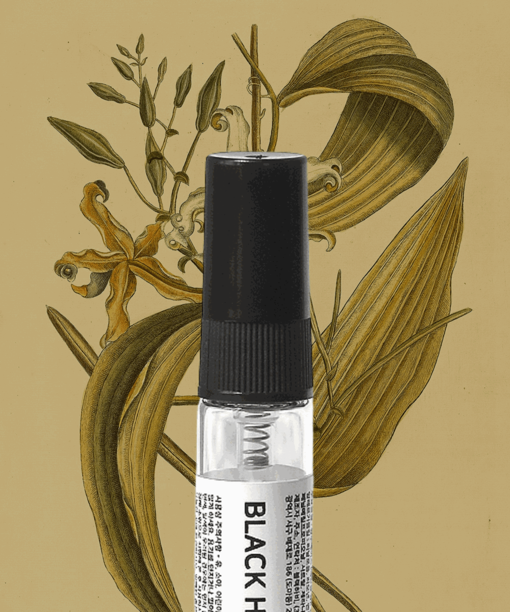 💛 바닐라 10종 고농축 포켓 드레스퍼퓸 🔥 5+2 / 10+5 이벤트 🔥 30만개 돌파