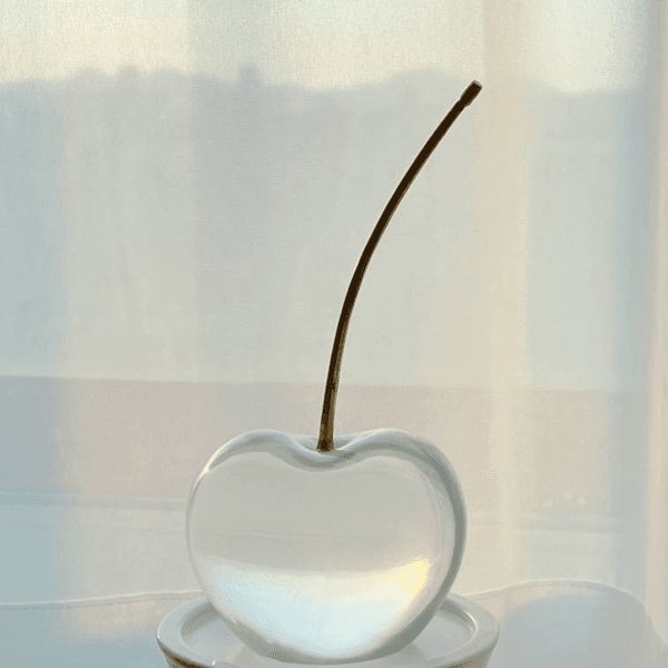 Cherry Objet : 체리 오브제
