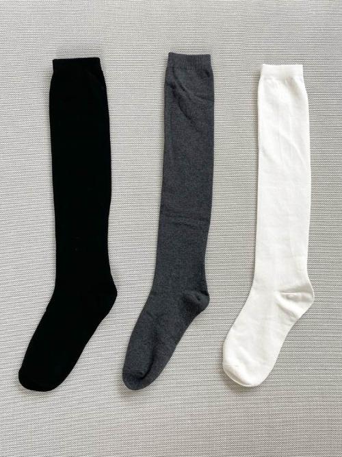 베이직 반타이즈