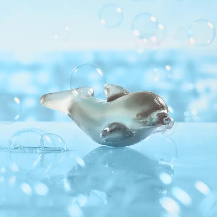 동구밭 배러댄서프 바다의 친구들 돌고래