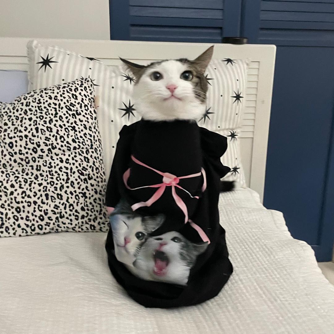 호섭 X Maisondedomodachi T-Shirt