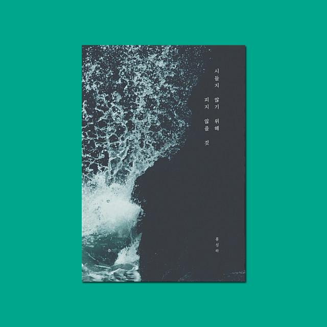 시들지 않기 위해 피지 않을 것 / 홍성하 / 씀 / 웜그레이블루