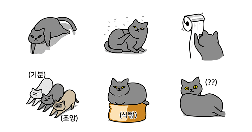 그레이 고양이야 2