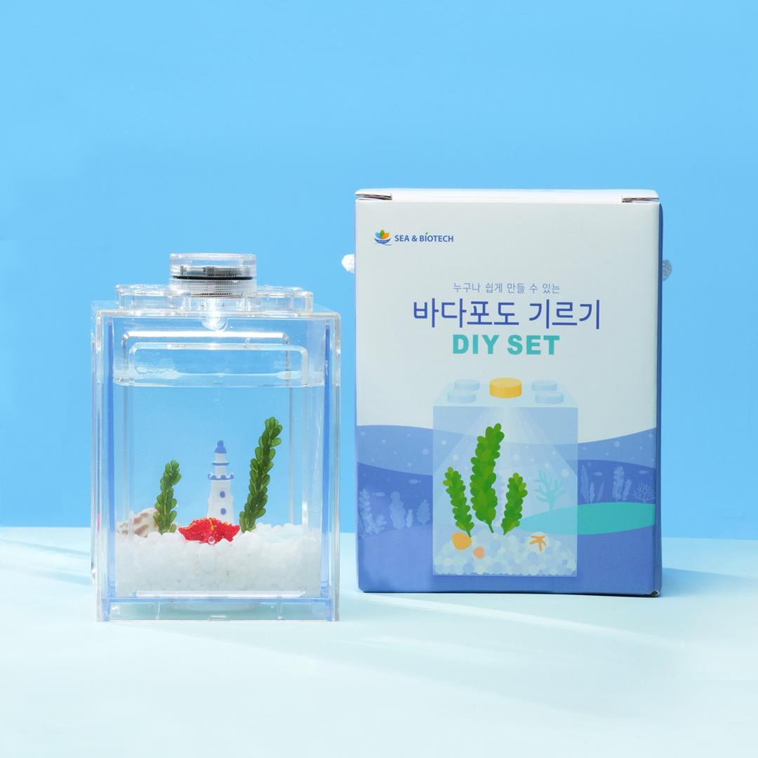 바다포도 기르기 DIY세트 15,000원