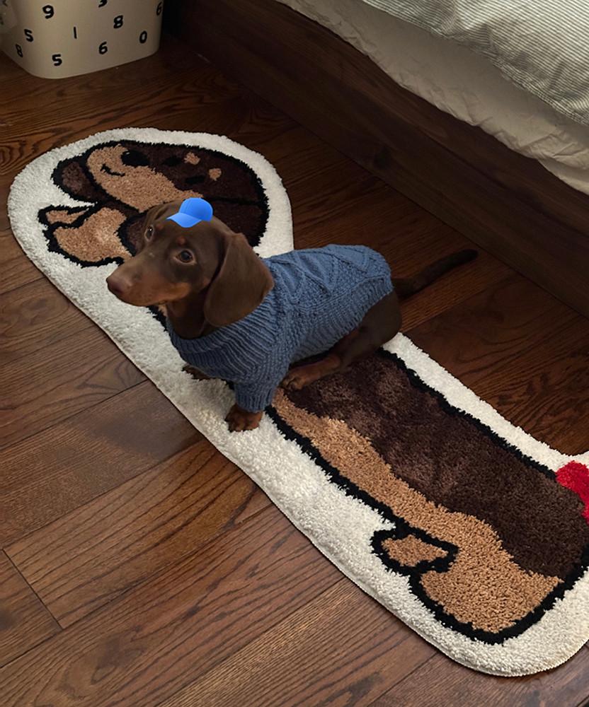 수심 Brown Dog Carpet 브라운 강아지 러그 동물 침실 카펫 발매트
