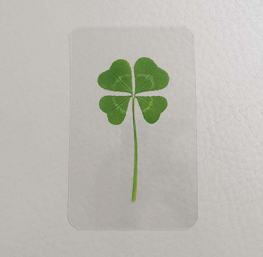 FLC 101-00(봉투없는 네잎클로버코팅카드)