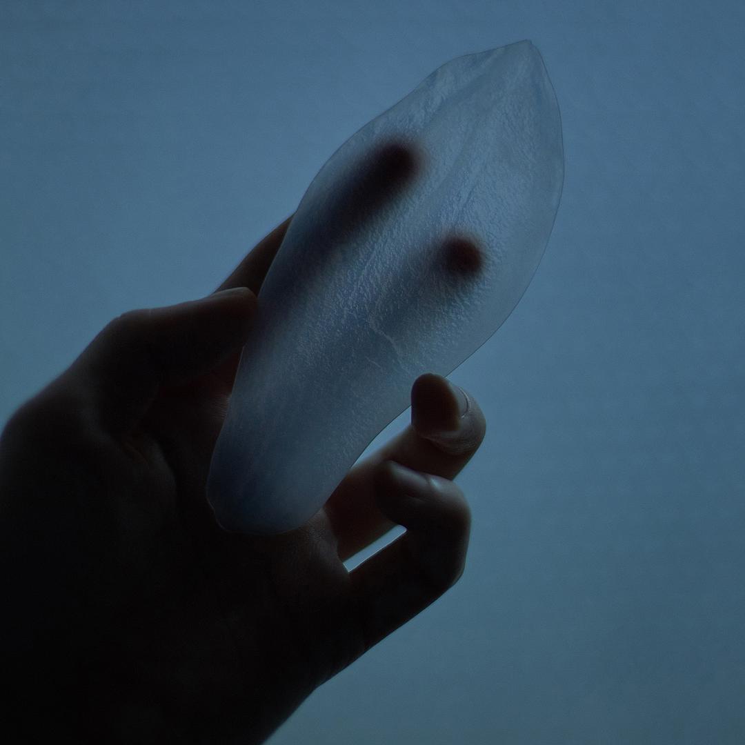 작가 옥토 책갈피 [목련]