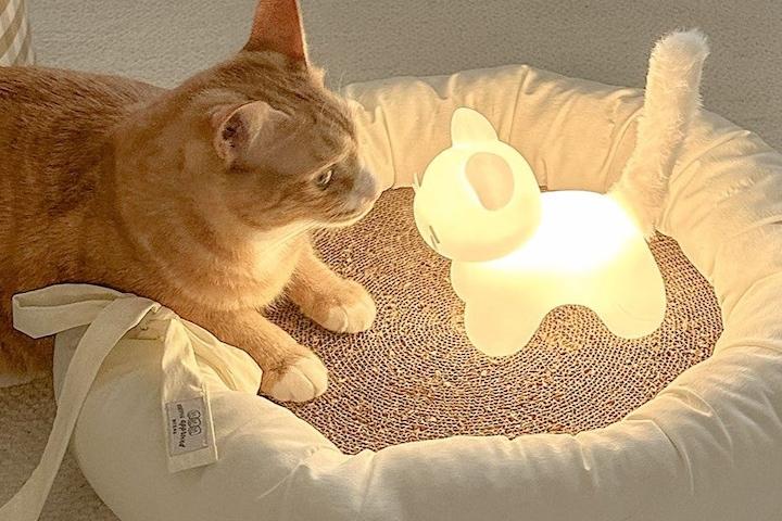 젤리냥이 무드등 고양이 무선 조명