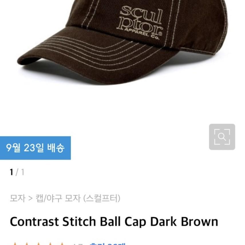 스컬프터 볼캡 브라운