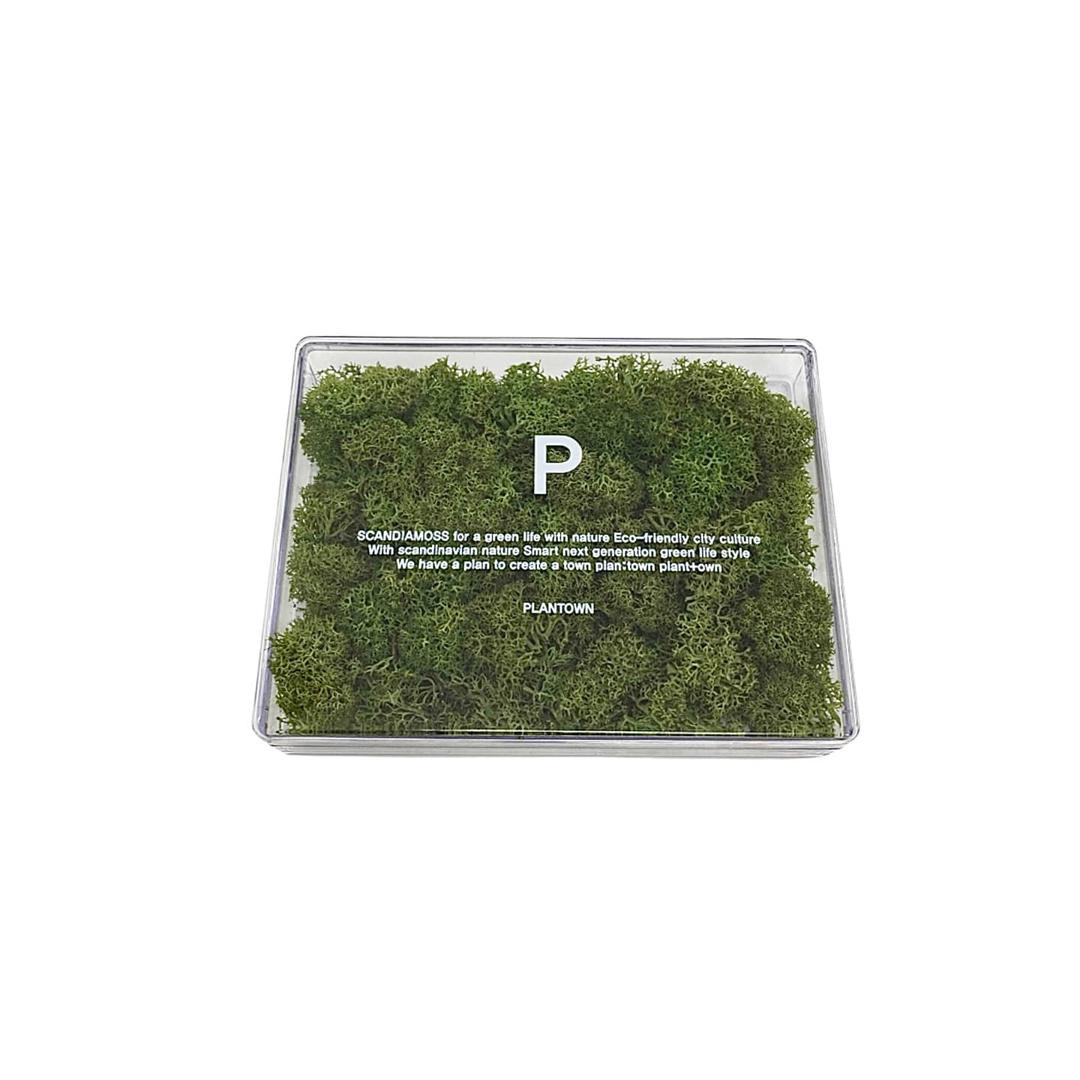 GREEN MOSS BOX  ̶3̶2̶0̶0̶0̶