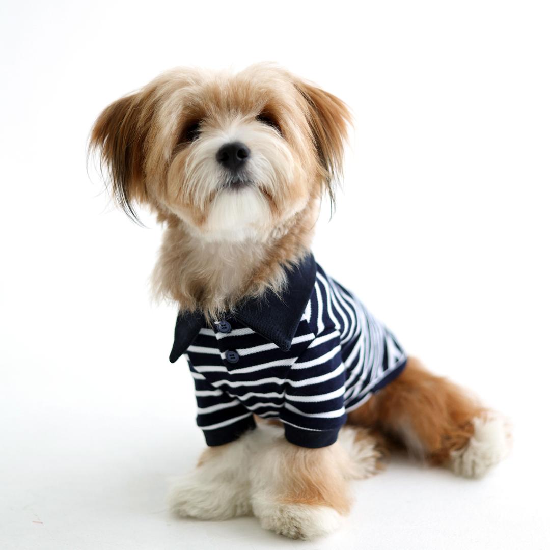 스트라이프 PK 티셔츠 (Navy)