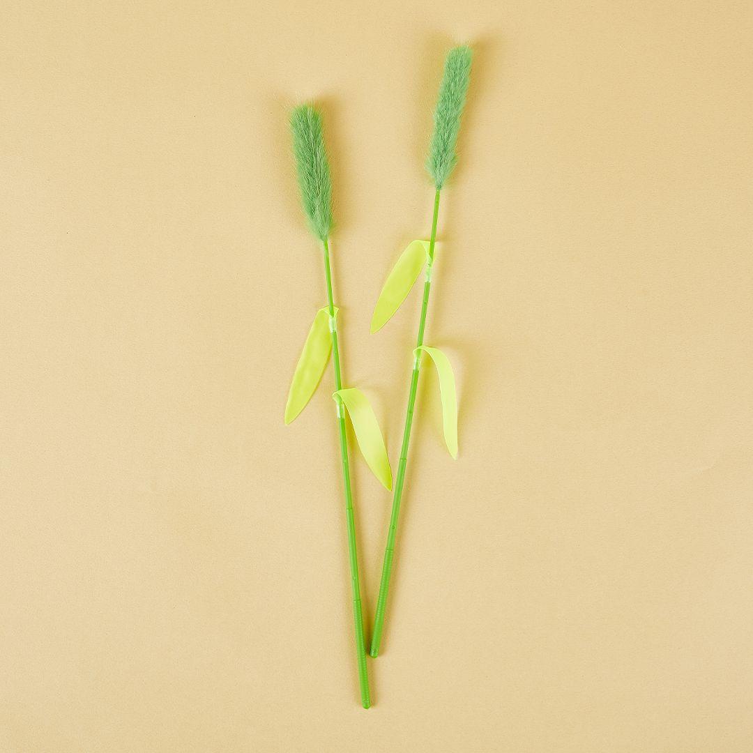 펫모닝 강아지풀