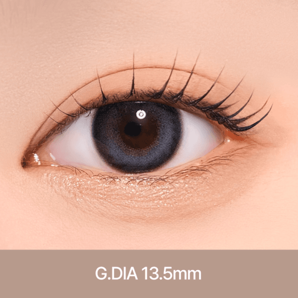 노이 [ 그레이 ] 1개월용