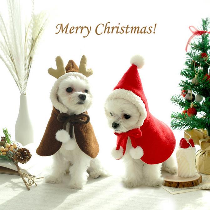 크리스마스_망토