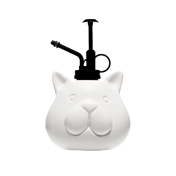 화이트 캣 미스터