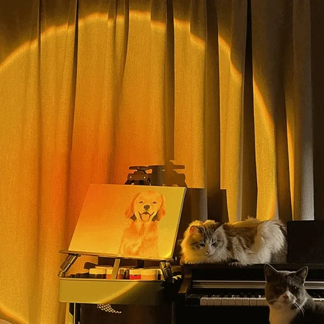 [1+1최저가]청하 로제 만달라키 선셋 조명 무드등