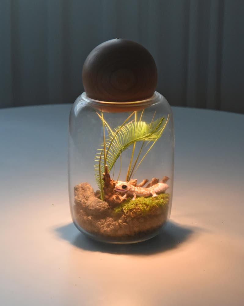 원목조명 조화 이끼 테라리움