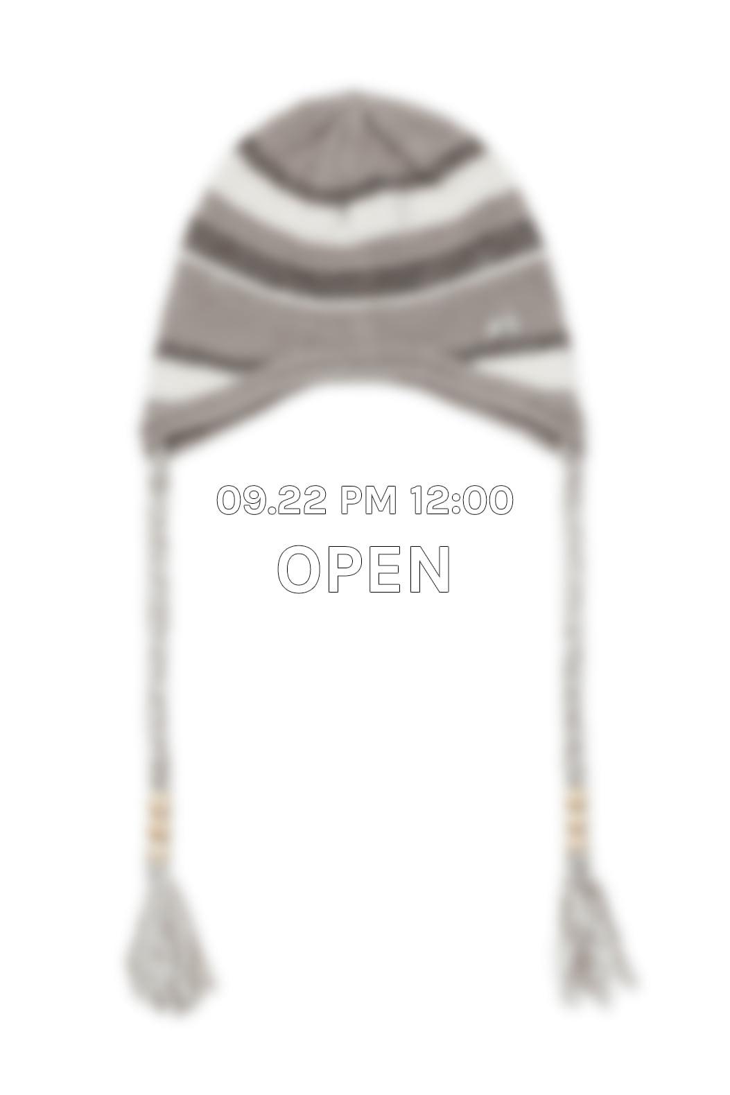 Stripe earflap beanie (Beige)