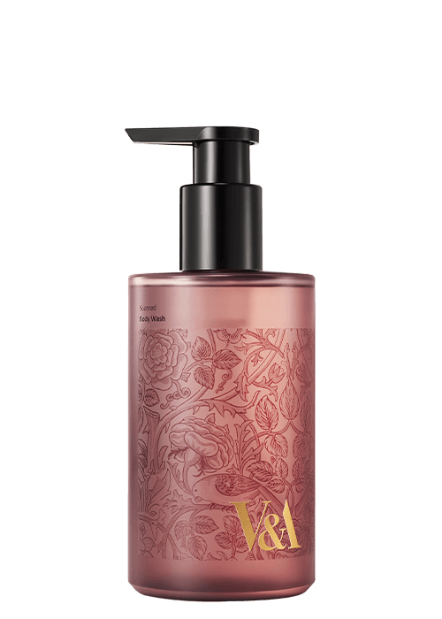 센티드 바디 워시 [허베이셔스 페탈] 450 mL