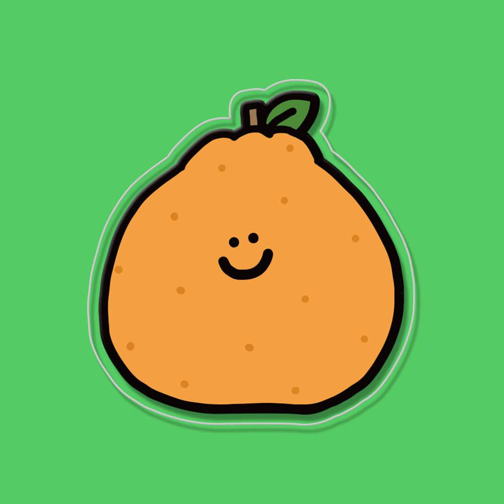 (아크릴톡) 제주2탄_한라봉