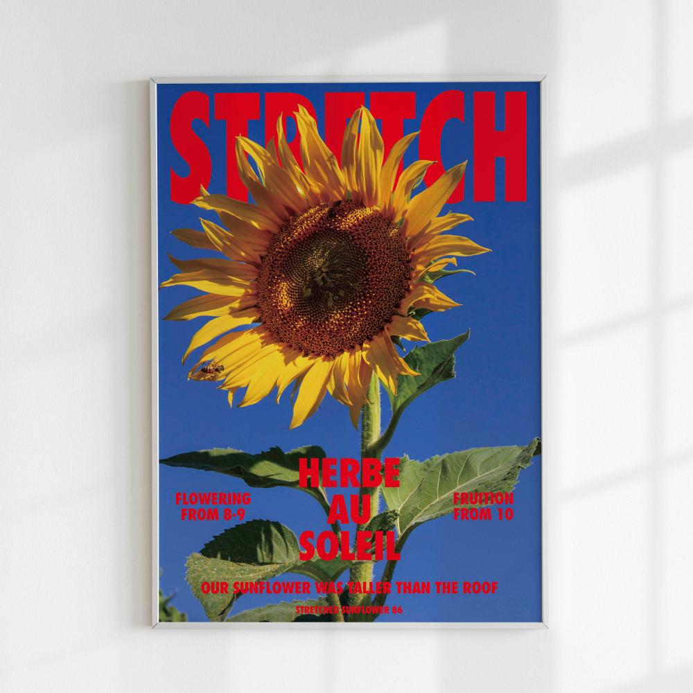 미드센추리 해바라기 풍수인테리어 재물 집들이선물 심플 모던 아트포스터 Stretched
