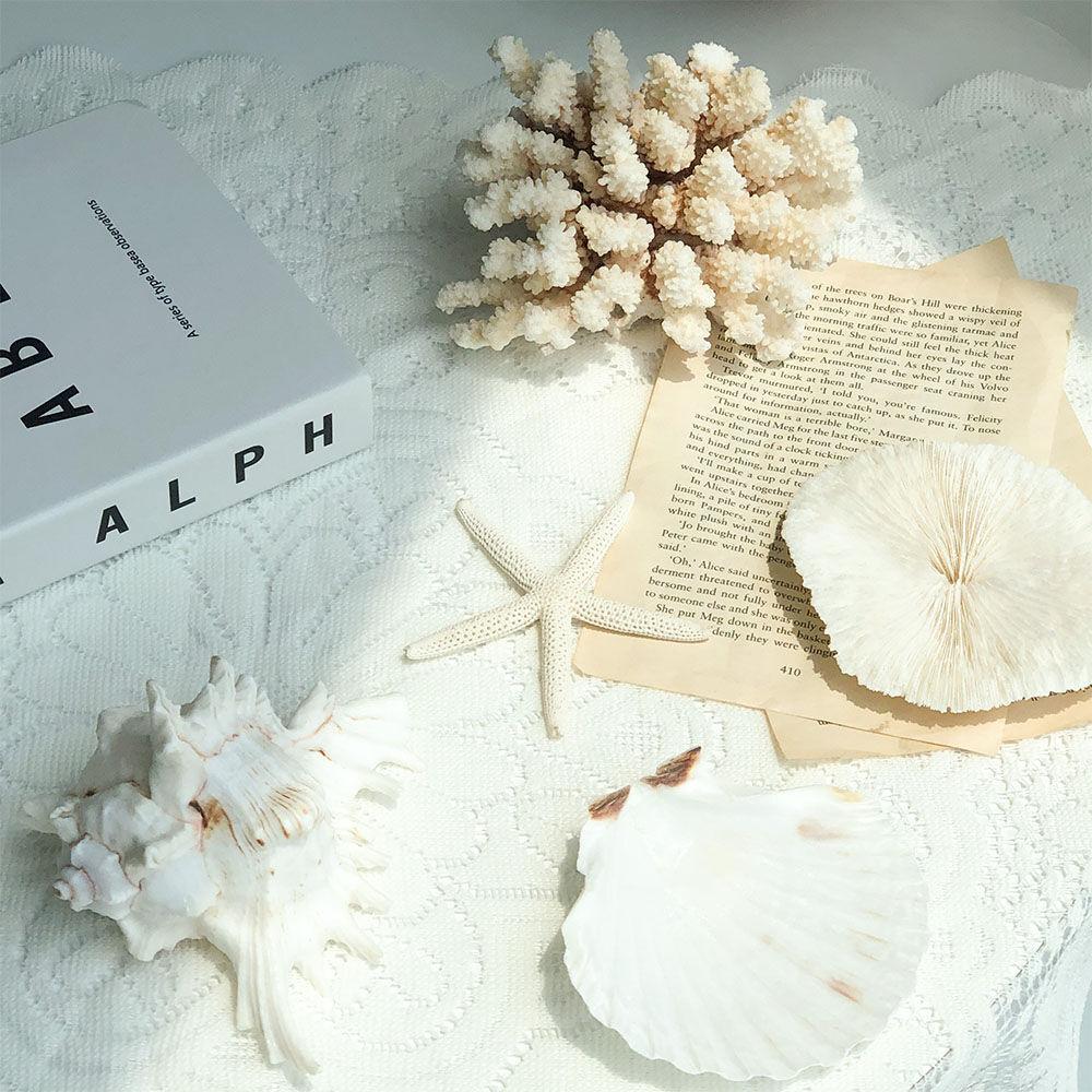 바다 인테리어 오브제 모음 - 산호 조개 버섯