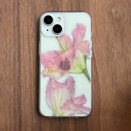 압:화 백합