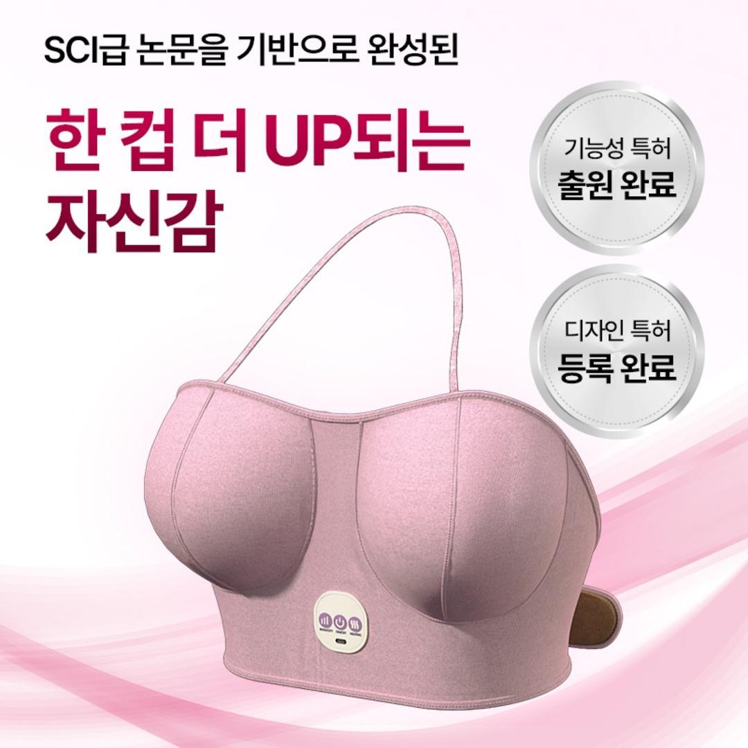데이젠느 비플업 마사지기
