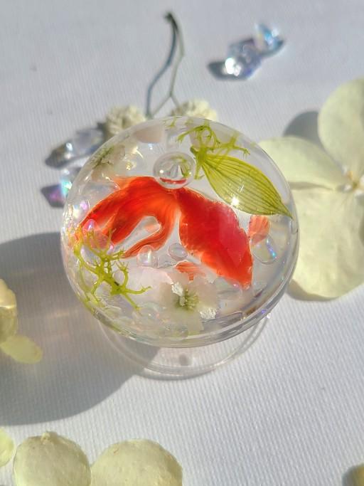 Ver.대왕)영롱보스 금붕어 워터쉐이커 반구그립톡