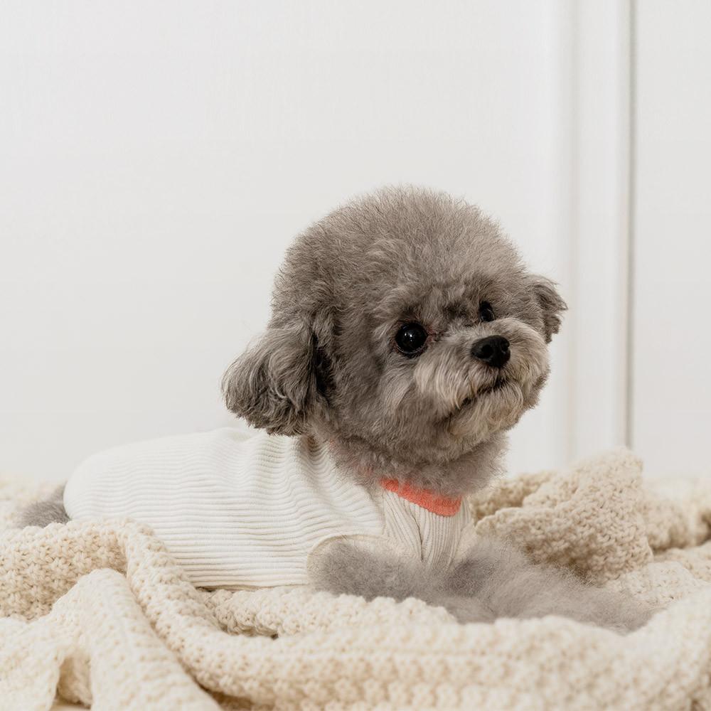 울리 쥬시 민소매 티셔츠 강아지 나시