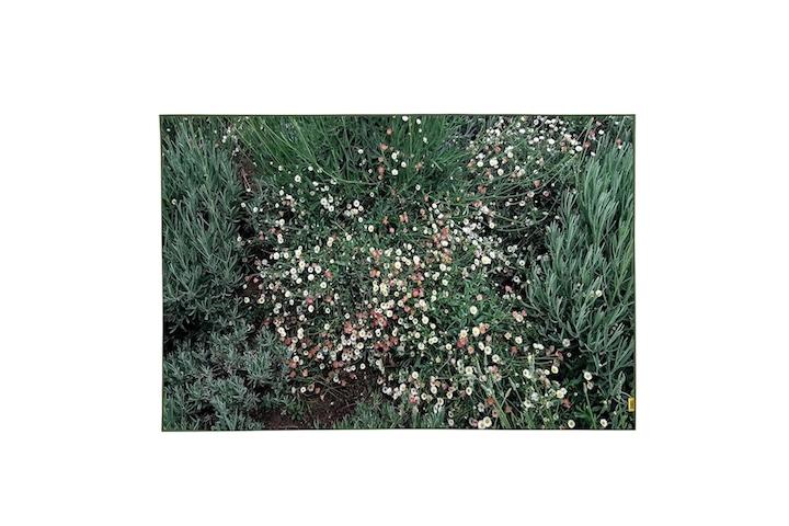 Flower garden, landscape rug