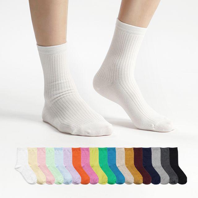 [당일발송/국내제작] 8켤레 발목이 슬림해보이는 여자 골지 중목 컬러 데일리 여성 학생 양말