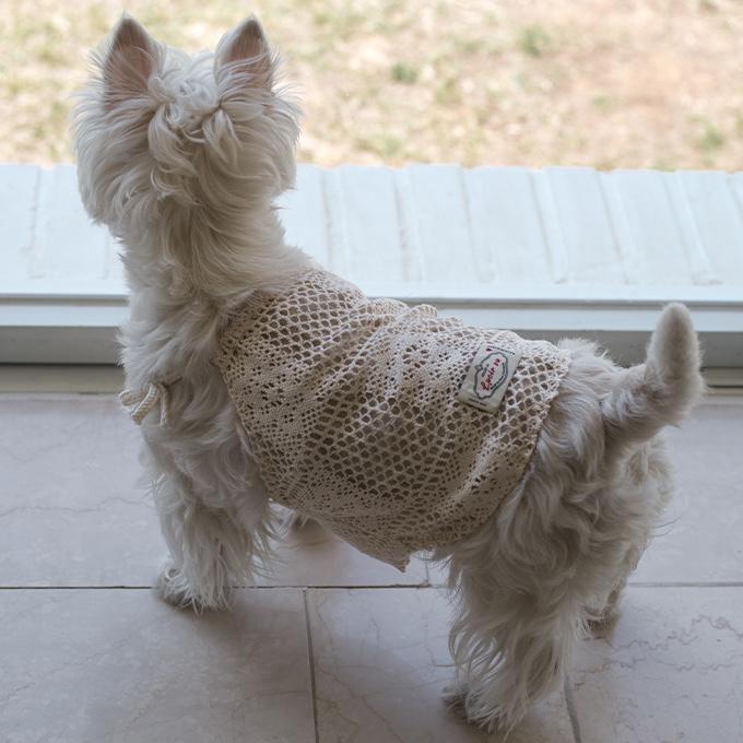 Dogi Cotton crochet t-shirt (cream)