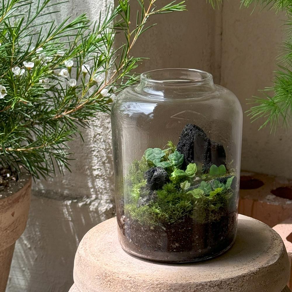 신록 테라리움 DIY 키트 만들기 제주애기모람 비단이끼 콩짜개난 키우기 비바리움