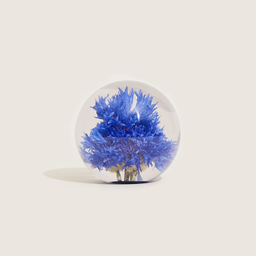 [Hafod Grange] Cornflower Paperweight - Small
