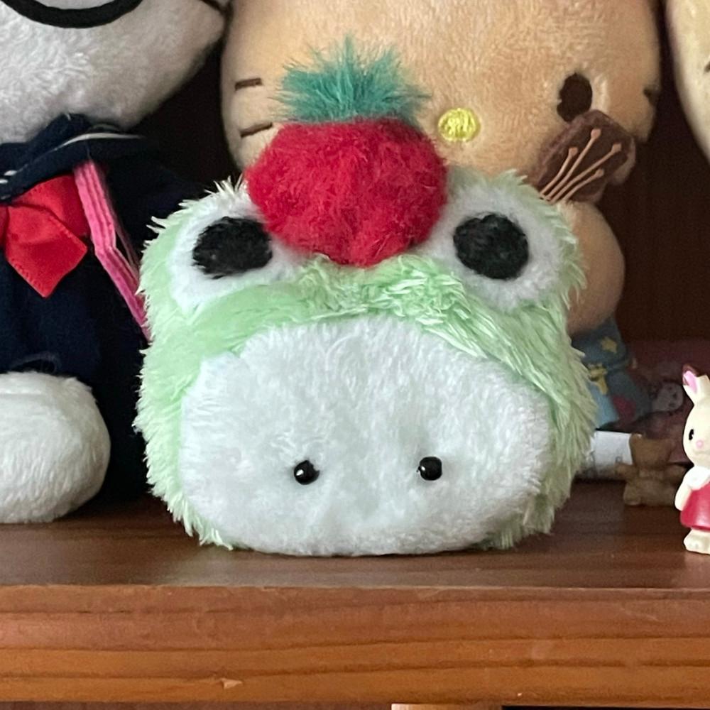 new ❤︎ 도마도개구리 🍅