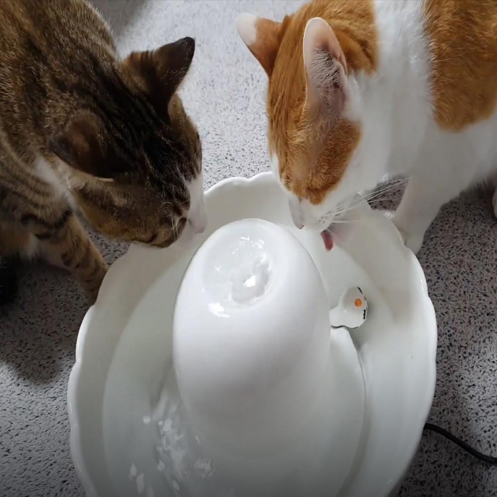 가르르 고양이 정수기 도자기재질 필터추가 TYPE1 화이트