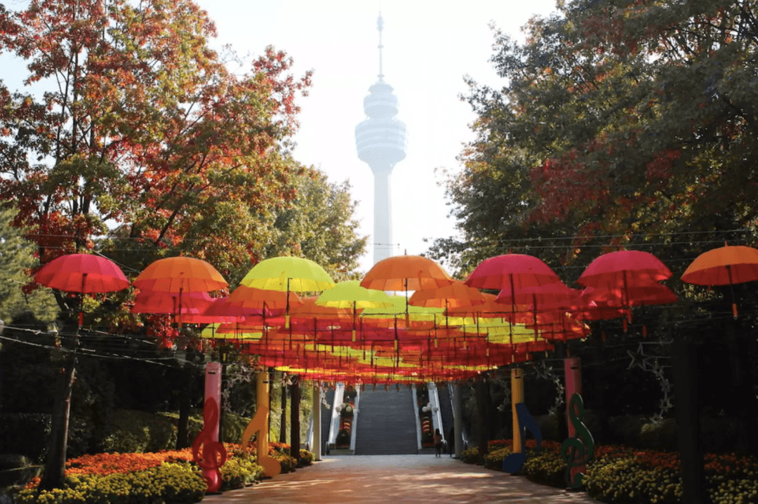 대구 이월드 자유이용권