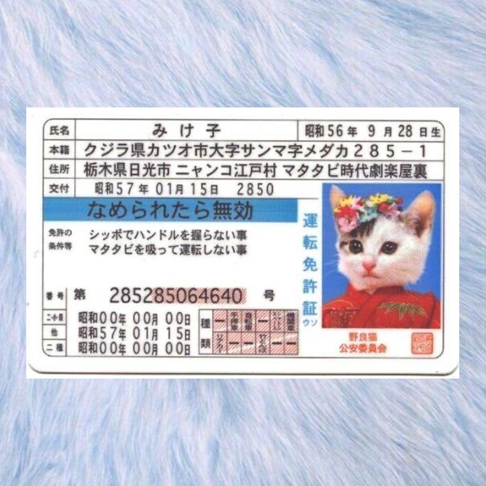 나메네코 랜덤 카드 고양이 포카