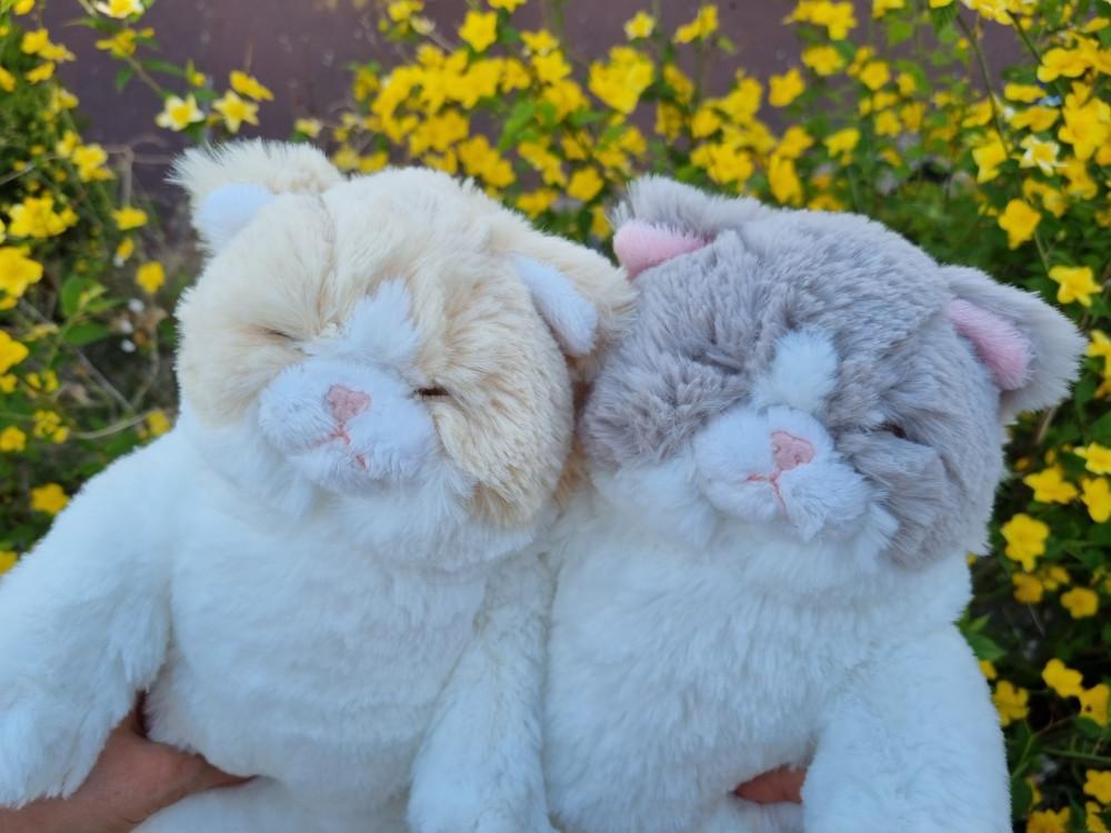 쓰야쓰야 잠자는 귀여운 고양이 인형 뚱냥이 국민 애착 인형 4종