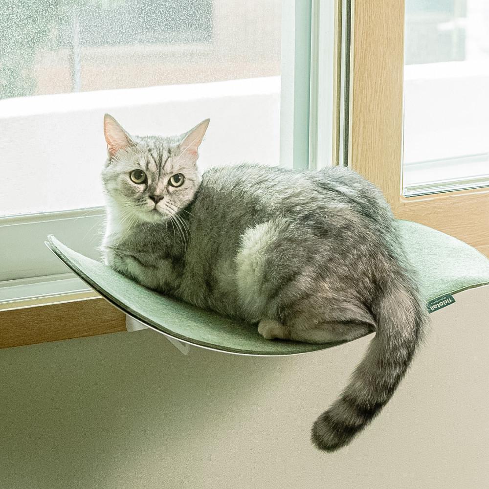 피도테일 캣 웨이브 창문 선반 고양이 창틀 해먹 & 벽 고정 가능 (매트 포함) 리뉴얼 버전